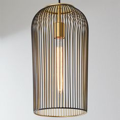 a birdcage hanging from the ceiling with two light bulbs in front of it