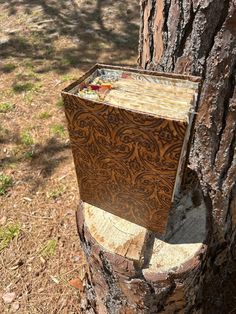 a wooden box is attached to a tree trunk