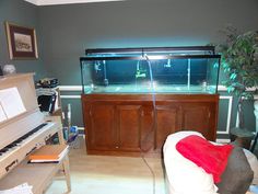 a living room filled with furniture and a fish tank on top of a piano keyboard