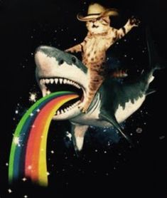 a cat riding on top of a shark with a rainbow in its mouth and wearing a cowboy hat