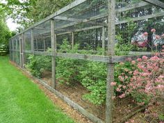 a garden in a fenced off area with pink flowers