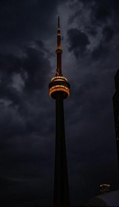 the sky tower is lit up at night