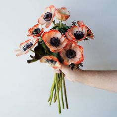 a person holding a bunch of flowers in their hand with the stems still attached to it