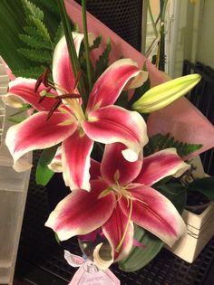 a vase filled with pink and white lilies on top of a table next to a plant