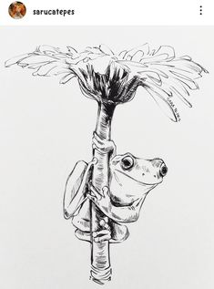 a black and white drawing of a frog on a pole with a flower in it's mouth