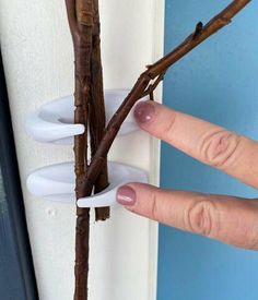 a hand is holding a branch that has been placed on the wall with three white plastic holders