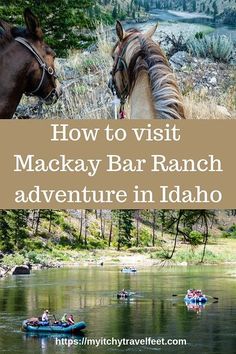 two horses standing next to each other in the water with text overlay reading how to visit mackay bar ranch adventure in idaho