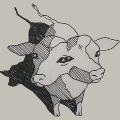 a drawing of two cows standing next to each other on a gray background with black and white lines