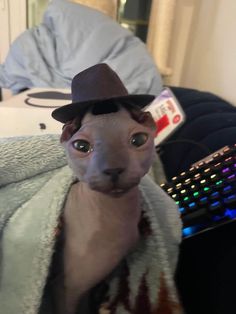 a hairless cat with a top hat on sitting in front of a computer keyboard