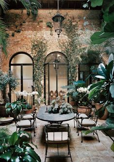 an outdoor dining area with potted plants and hanging lights above the table, surrounded by greenery