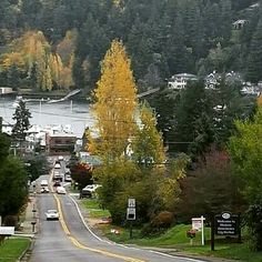 the road is lined with trees and houses