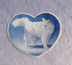 a white cat standing in front of a blue heart