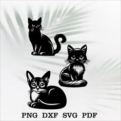 three black cats sitting next to each other on top of a white sheet with the words png dxf svg