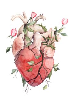 a watercolor drawing of a human heart with flowers