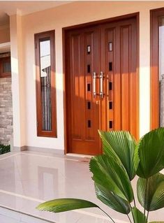 a potted plant sitting in front of a wooden door