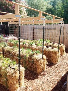 several hay bales in a garden area with fencing around them and plants growing on the ground