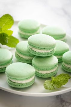 green and white macaroons on a plate with mint sprig next to them