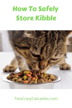 a cat eating food out of a bowl on top of a white table with the words how to safely store kibble