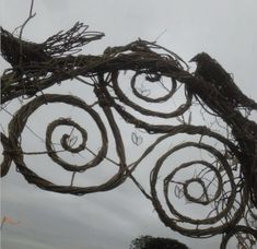 an artistic sculpture made out of branches with birds on it's head and spirals in the middle