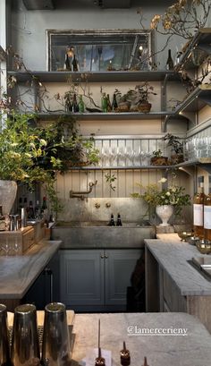 a kitchen filled with lots of counter top space next to a planter on the wall