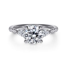 a diamond engagement ring with three stones on the side and two diamonds on the band