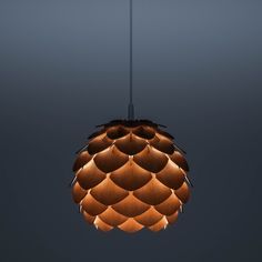 the light fixture is made out of wood and has an unusual shape that matches the dark background