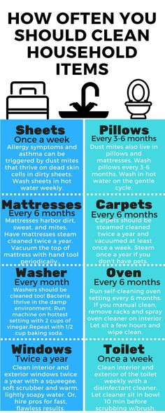 an info sheet with the words how often you should clean your house and other items