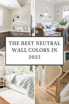 the best neutral wall colors in 2055