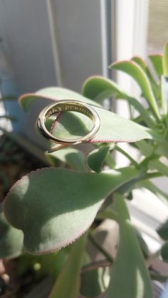 Pinky Promise Ring: Gold Plated – Edge of Urge Bf Mood, Promise Ring Gold, Pinky Promise Ring, Cute Promise Rings, Gold Promise Rings, Pinky Promise, Wilmington Nc, Ring Gold, Promise Ring