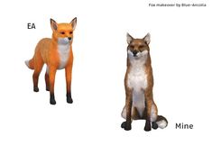 two different types of foxes sitting next to each other in front of a white background