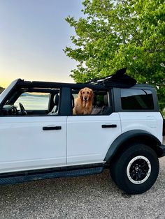 golden retriever. ford bronco. summer. sunsets. pretty summer vibes. lake days. bronco. White Ford Bronco Aesthetic, 2024 Ford Bronco, Aesthetic Bronco, Summer Car Aesthetic, Vintage Bronco Ford, Teen Cars, Ford Bronco Aesthetic