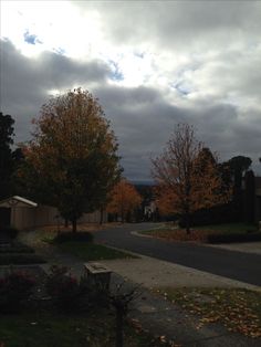 an empty street with trees and houses in the background under a cloudy sky, on a fall day