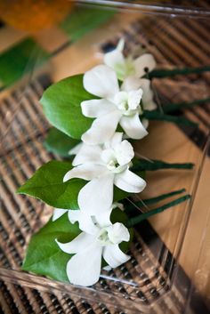 some white flowers are sitting in a clear vase on a table with green leafy stems