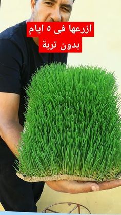 a man holding up a potted plant with grass in it