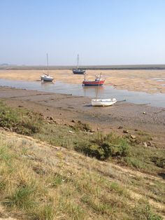 three boats floating on top of a body of water next to grass and dirt covered ground