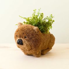 a stuffed bear with a plant on its head