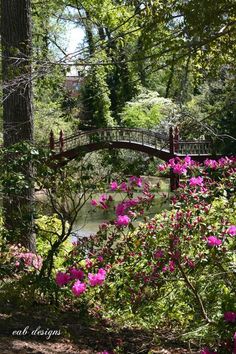 the bridge is surrounded by pink flowers and trees