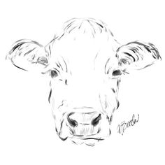 a black and white drawing of a cow's face