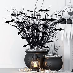 two black vases filled with plants and bats on top of a white table next to a candle