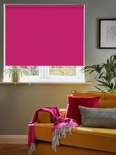 a living room with a couch and window covered in bright pink shade cloths next to a potted plant