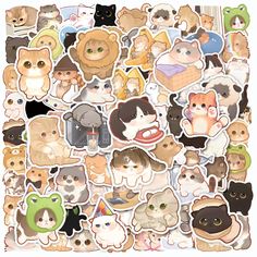 an assortment of cats and kittens stickers