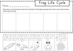 a frog life cycle worksheet for kids to learn how to write and draw