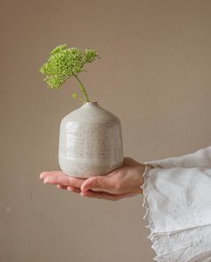 a person holding a small white vase with a green plant in it's palm