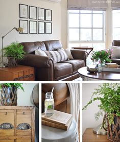 a collage of photos showing living room furniture and decor with plants in vases