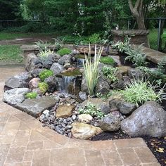 a garden with rocks, plants and water features in the center of the area that is surrounded by trees