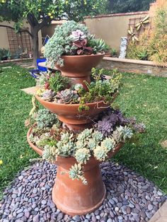 three tiered planter filled with succulents and other plants in the back yard