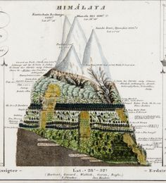 a drawing of a mountain with trees and plants on it's sides, surrounded by other mountains