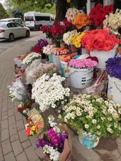 many colorful flowers are on display in buckets