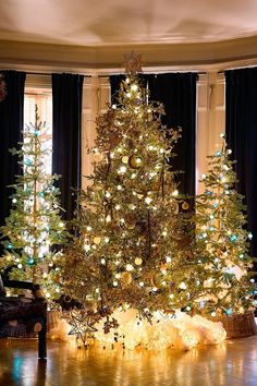 a christmas tree is lit up in the middle of a room with black drapes