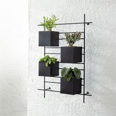 three black planters are hanging on the wall next to a potted planter